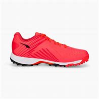 Image result for Cricket Shoes for Kids