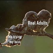 Image result for Adulting Fail Meme