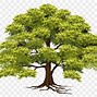 Image result for Hyper Realistic Tree Transparent Background