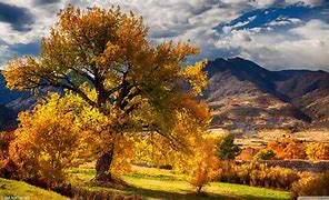 Image result for Awesome Fall Scenery