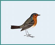 Image result for BBC Ghosts Robin Art