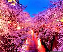 Image result for Japanese Sakura Wallpaper