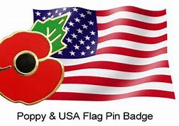 Image result for American Flag Designed Poppy Pin