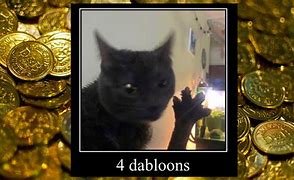 Image result for Gold Cat Meme