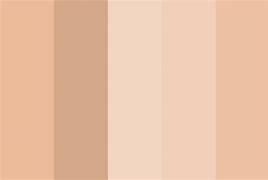 Image result for Rose Gold Paint Color Palettes