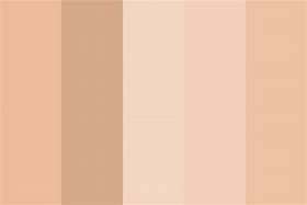 Image result for Rose Gold Colour Pallet