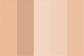 Image result for Rose Gold Colour Pallet