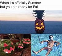 Image result for Return From Fall Vacation Meme