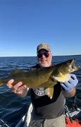 Image result for Walleye Alberta