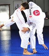 Image result for Gracie Brazilian Jiu-Jitsu