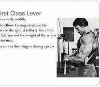 Image result for First Class Lever Triceps