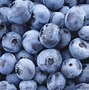 Image result for Blue Purple Fruit
