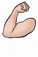 Image result for Free Clip Art of Arm