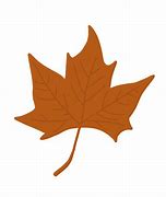 Image result for Maple Leaves Cartoon
