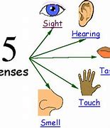 Image result for Diagram About Touch Sense