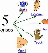 Image result for Symbols Top Show 5 Senses