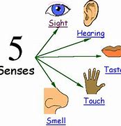 Image result for 5 Senses Outline