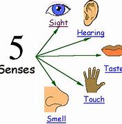 Image result for 5 Senses Rubric
