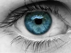 Image result for Ojos Orgullosos