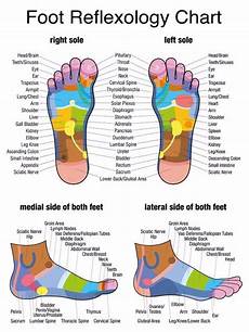 31 Printable Foot Reflexology Charts Amp Maps ᐅ Templatelab