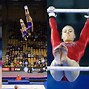 Image result for Traditional Types of Gymnastics