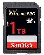 Image result for 1TB SD Card