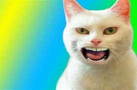 Image result for Talking Kitty Cat Wallpaper