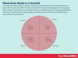 Image result for Whole Brain Thinking Images
