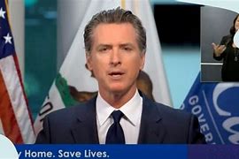 Image result for Gavin Newsom Red Carpet