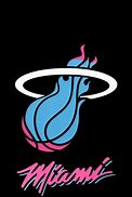 Image result for Miami Heat Logo Fake