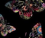 Image result for White Butterfly Wallpaper iPhone