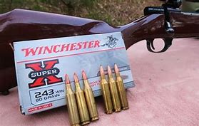 Image result for 243 vs 300 Win Mag