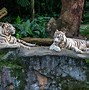 Image result for Singapore Visit Places