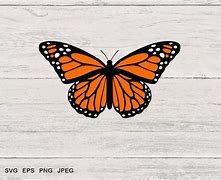 Image result for Monarch Butterfly SVG
