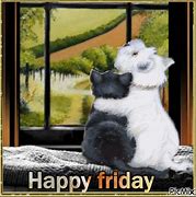 Image result for Beautiful and Happy Friday Animals