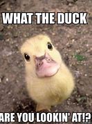 Image result for Duck Face Guy Meme