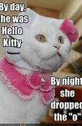 Image result for Funny Cat Photoshop