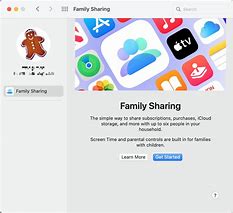 Image result for Apple Family Sharing Switch Organizer