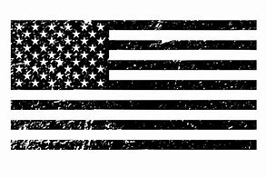 Image result for Distressed Cartoon American Flag