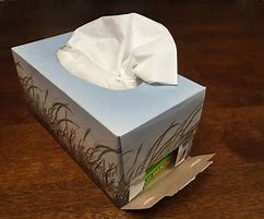 Image result for Empty Tissue Boxes