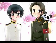 Image result for Aph China Fan Art