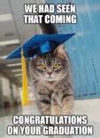 Image result for Congratulations Way to Go Meme