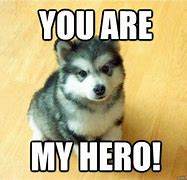 Image result for You're My Hero Funny Meme