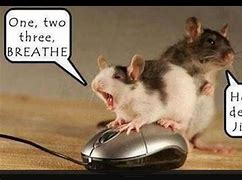 Image result for Work Wireless Mouse Meme