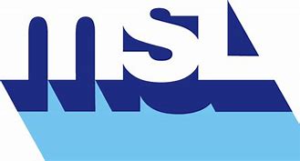 Image result for MSL Electricity Logo