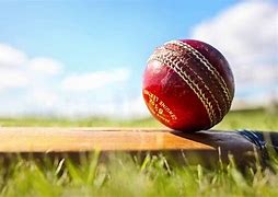 Image result for Cricket Image Title