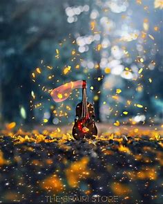Awsome Flowers falling on piano [Video] | Love wallpaper backgrounds ...