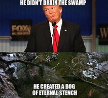 Image result for Drain the Swamp Meme