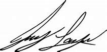 Image result for Joey Logano Signature