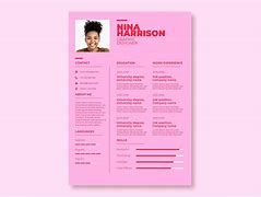 Image result for Resume Templates NZ